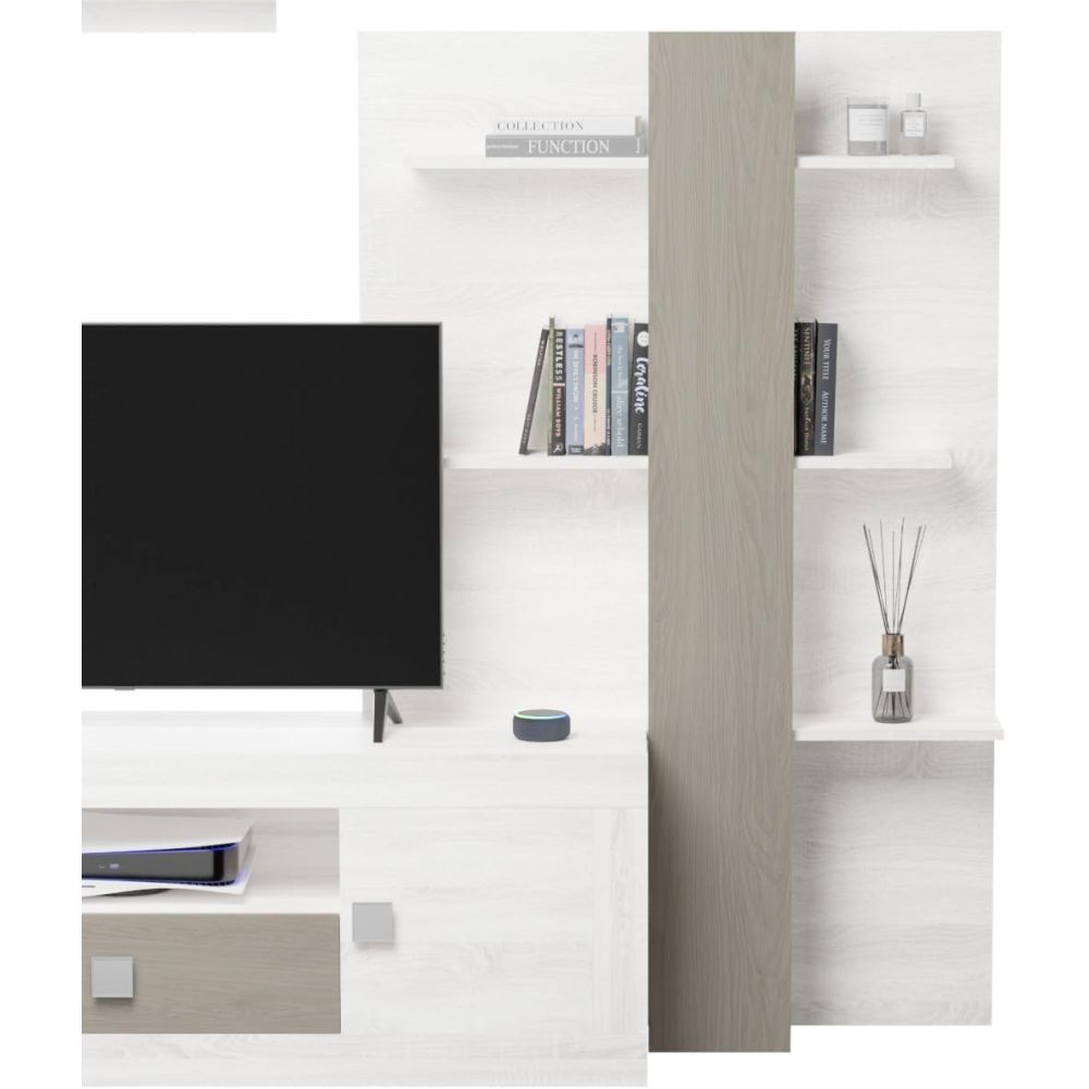 Mueble de Salón Moderno con Leds, Acabado en Andersen Pino -Gris, 40 cm (Fon), 300x200 cm